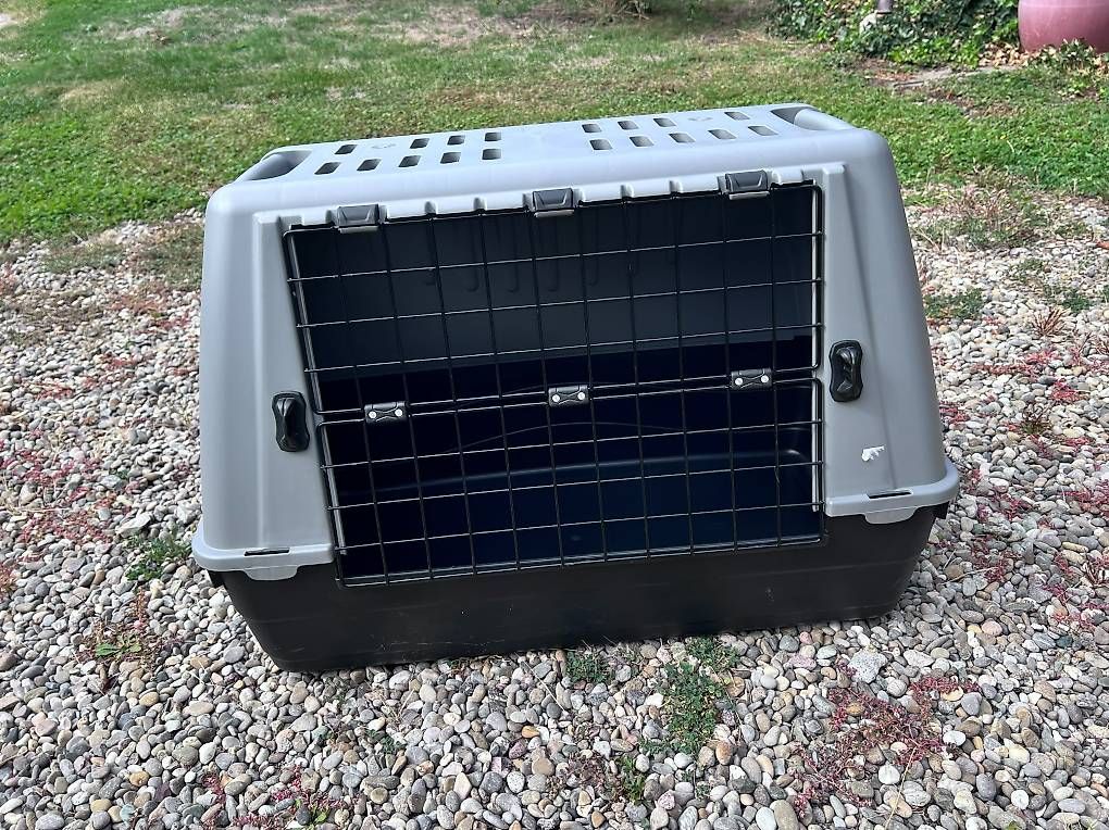 Gabbie, trasporto & Sicurezza: Stabile Hundeboxe mit festem Gitter – Usato da Rheinsulz venduto da Perola