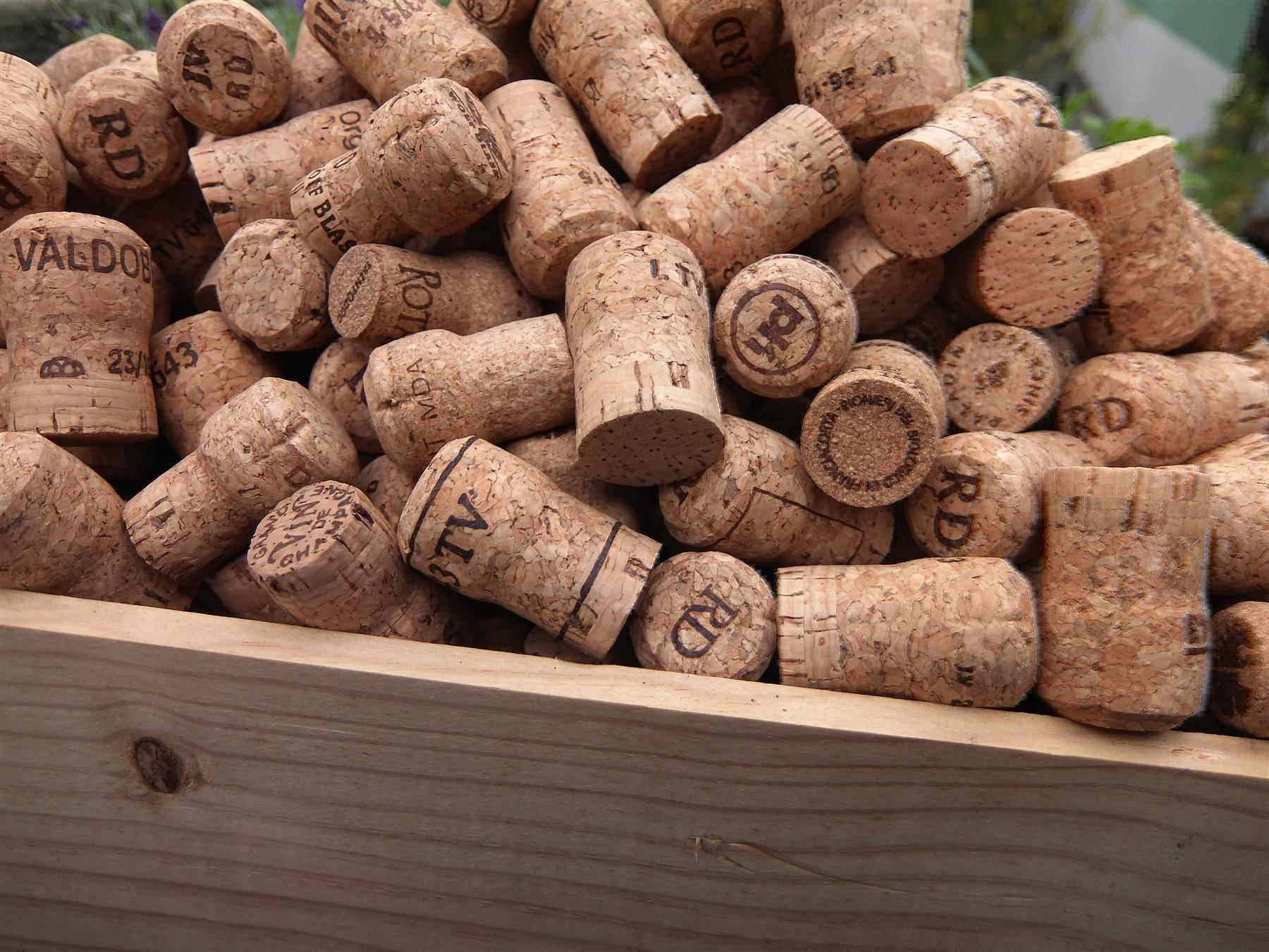 Flaschenöffner & -verschlüsse: Über 440 Champ./Prosecco Korken ca. 4 Kg – Gebraucht aus Wöschnau von Vinsale 1
