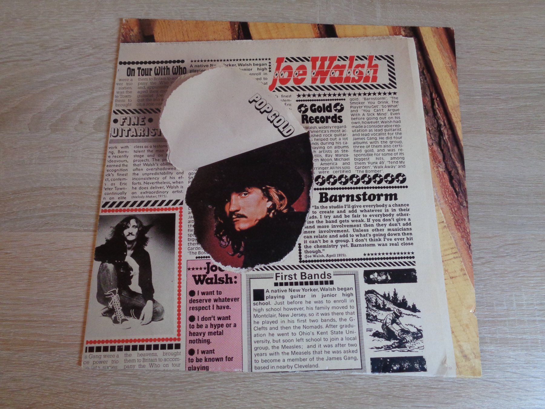 Dischi in vinile: JOE WALSH - POP GOLD – Usato da Weiningen ZH venduto da Princebebe
