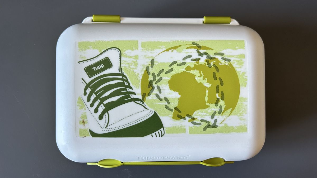 Tupperware Contenitori & Simili: Tupperware Dose – Usato da Urtenen-Schönbühl venduto da sanfilipp0