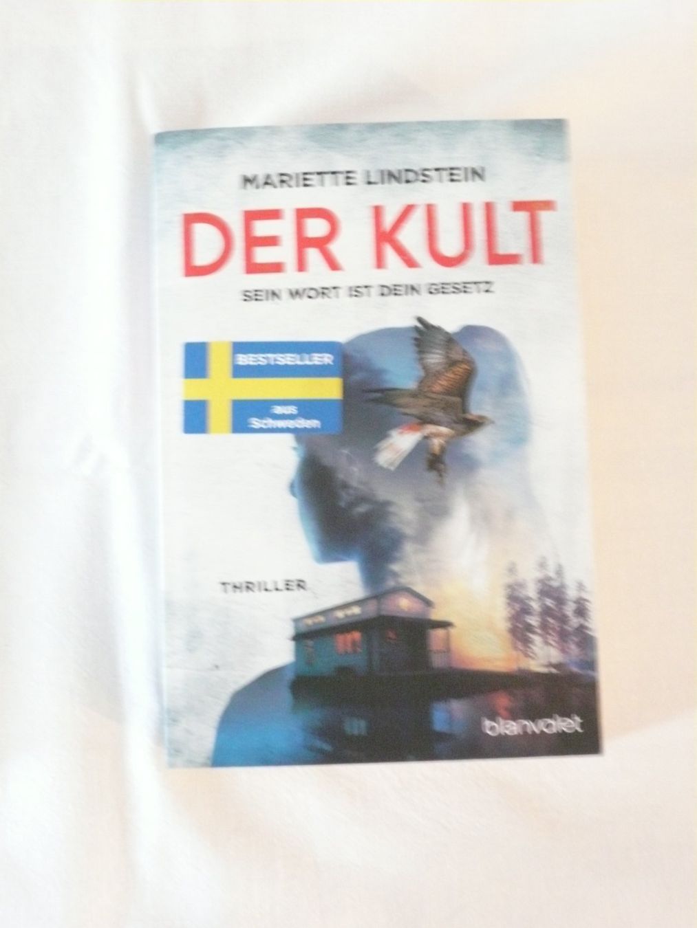 Libri: Thriller von Mariette Lindstein – Nuovo (secondo la descrizione) da Rotkreuz venduto da Busa17 3