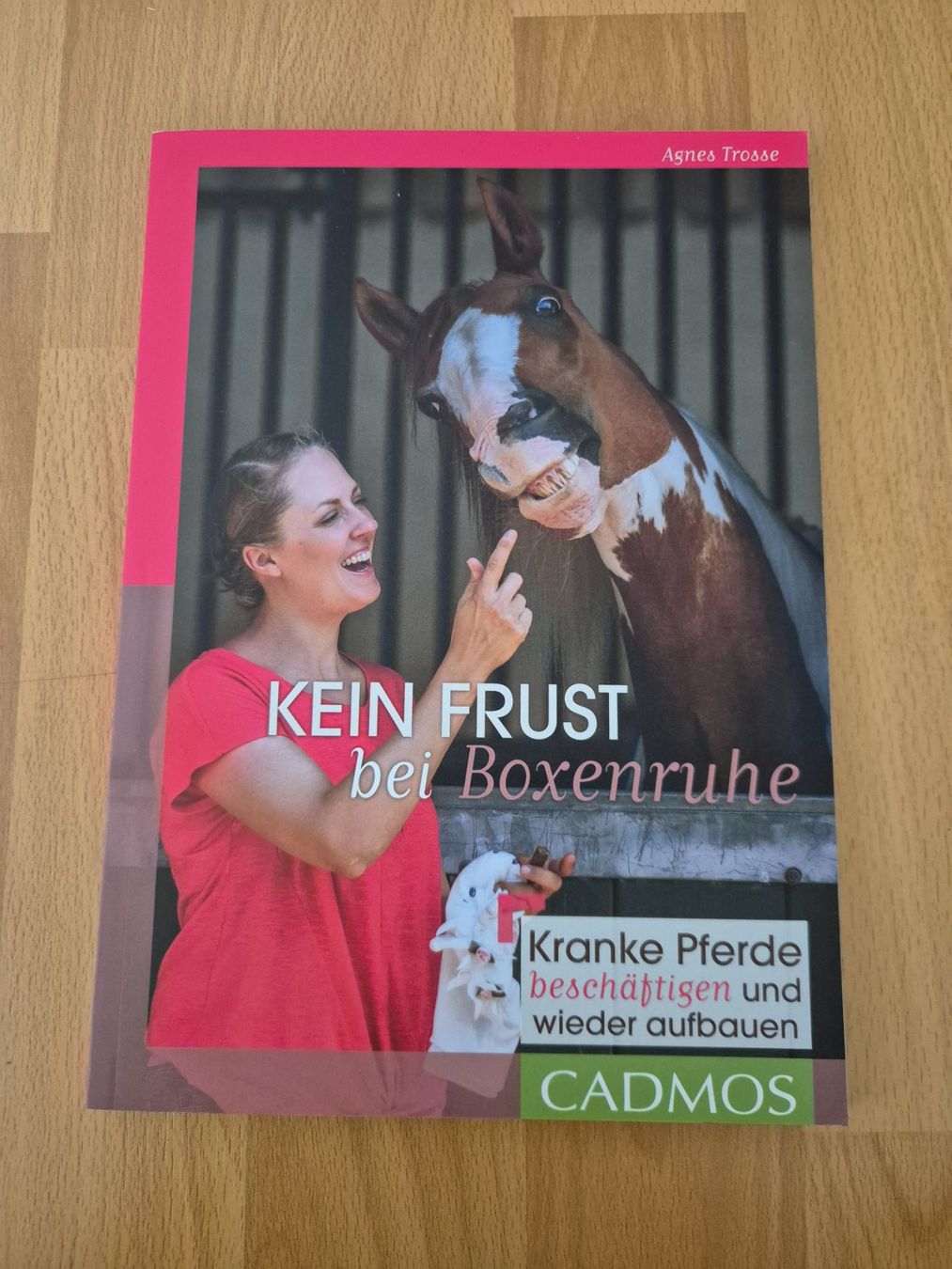 Brides, licols: Pferdefachbuch – Neuf (Voir description) à Meggen par Orrinka20