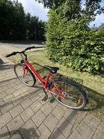Gebrauchtes rotes California Velo