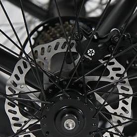 Veicoli elettrici: Elektro Dreirad EFATI – Usato da Lyssach venduto da Hoferbike 7