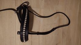 Reithalfter mit Steinchen /Strasssteinchen