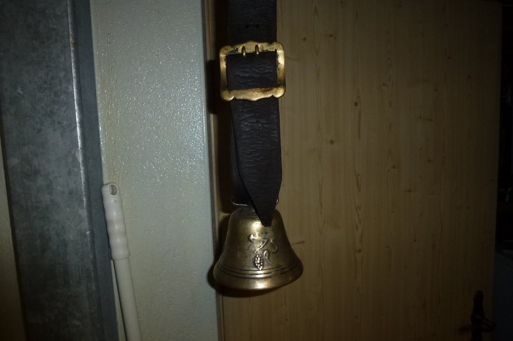 Campanacci mucche: Glocke 1800 Hundert – Usato da Bürglen UR venduto da daisyxy5 2