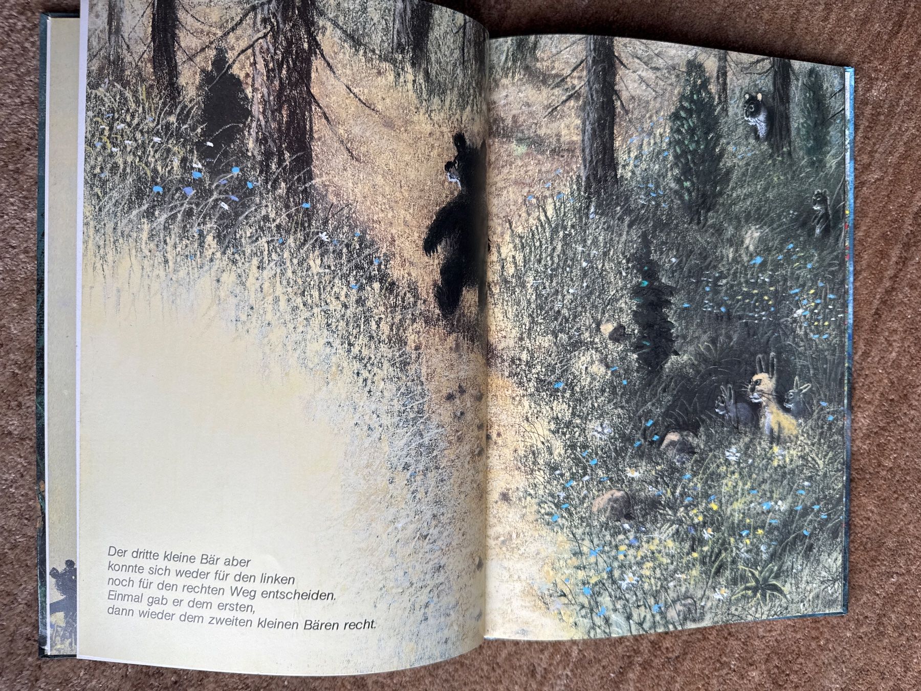 Libri: Der Bärenberg - Max Bolliger - Klassiker – Usato da Aarau venduto da Kilauea 4
