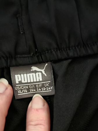 Puma Shorts 164
