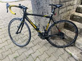 Rennvelo Schor, Carbon