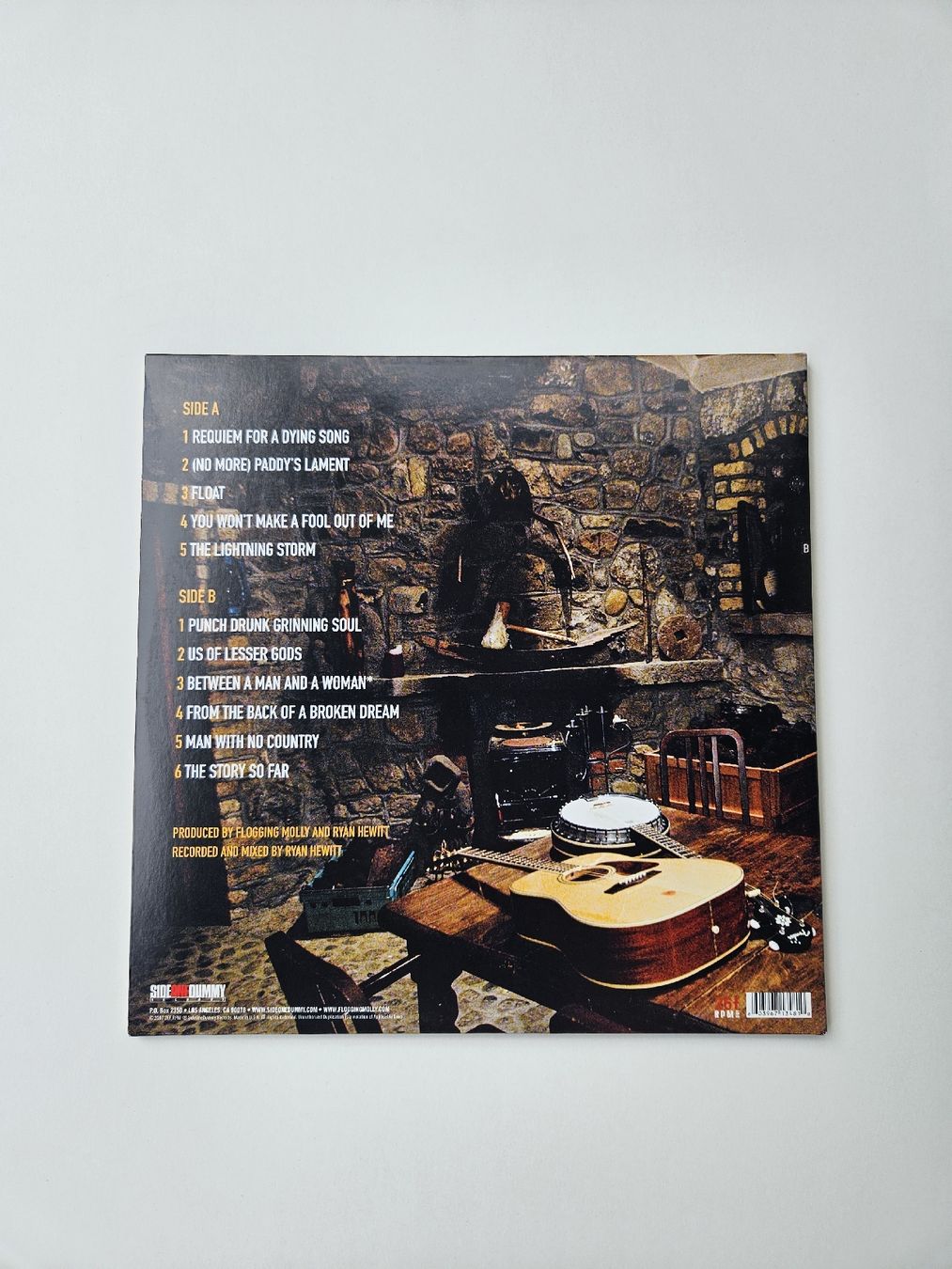 Dischi in vinile: Vinyl Flogging Molly - Float in sehr gutem Zustand – Usato da Zürich venduto da Mme.Sora 1
