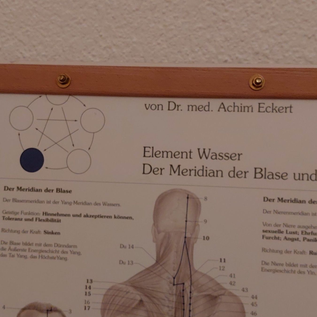 Foto & Immagini: 3 Meridiantafeln nach Dr. Eckert, 5 Elemente – Usato da Welschenrohr venduto da pava67 3