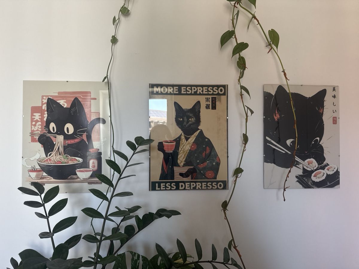 Poster & Bilder: Katzenbilder 40x30 cm – Gebraucht aus Zürich von ram_6dm6