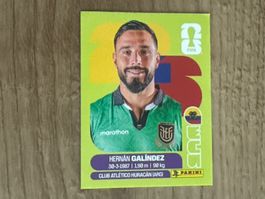 Panini Sticker FIFA World Cup 2026 Hernán Galíndez ECU 2