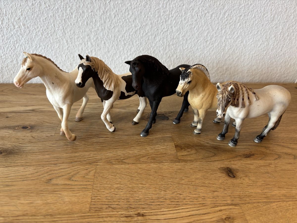 Schleich Giocattoli: Schleich Pferde 5er Set – Usato da Noflen BE venduto da ManuelaMiro