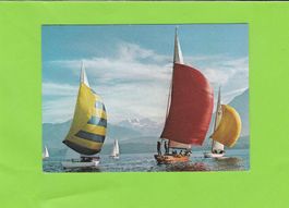 Segelsport auf dem Thunersee