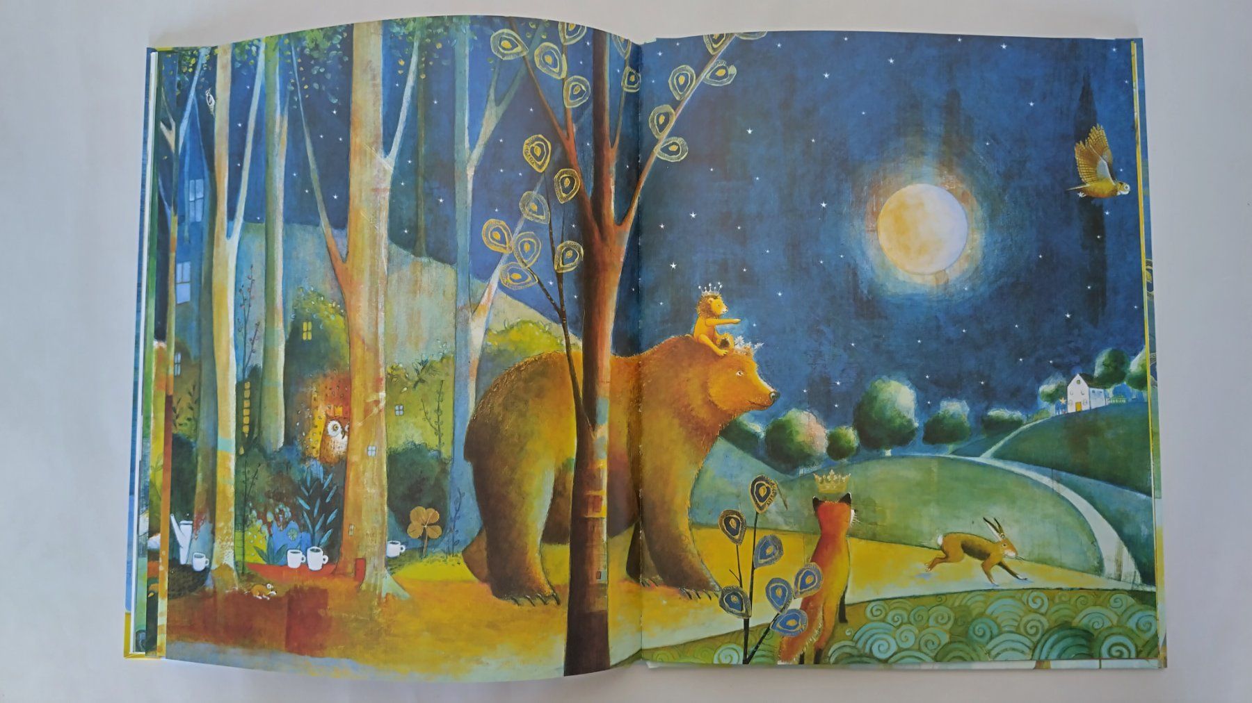 Libri: Leos wundersame Reise / Bilderbuch 2017 ab Fr. 8.- – Usato da Bellach venduto da JingleJerry 6