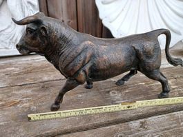 Stier Bronze