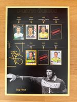 Panini-Plakat Petr Cech