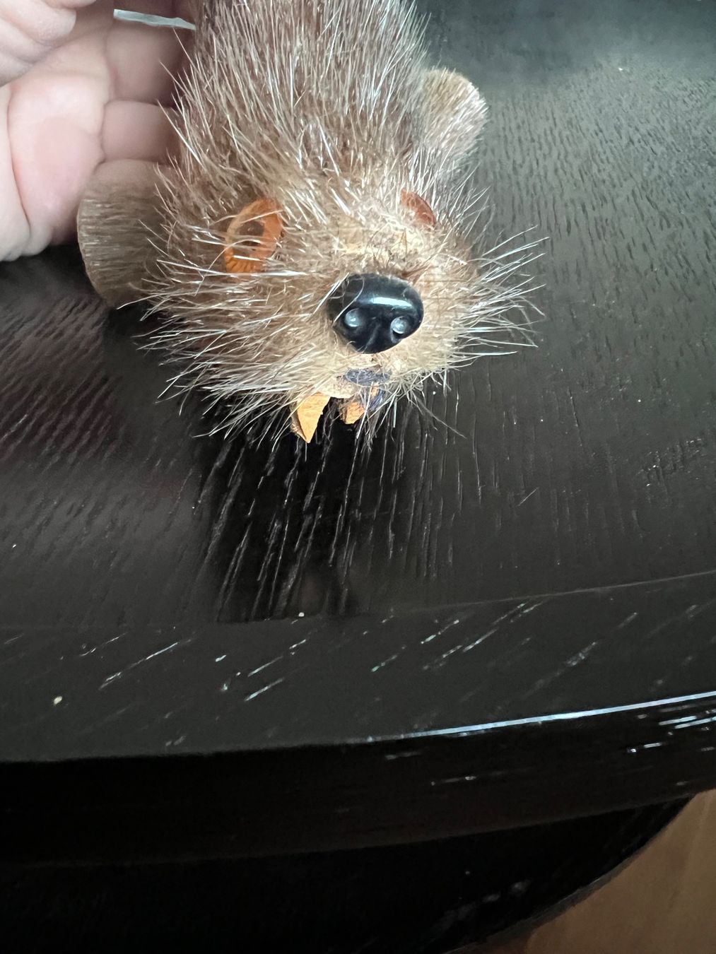 Figuren: Robbe Seehund  Fell – Gebraucht aus Jona von Sariksa 4