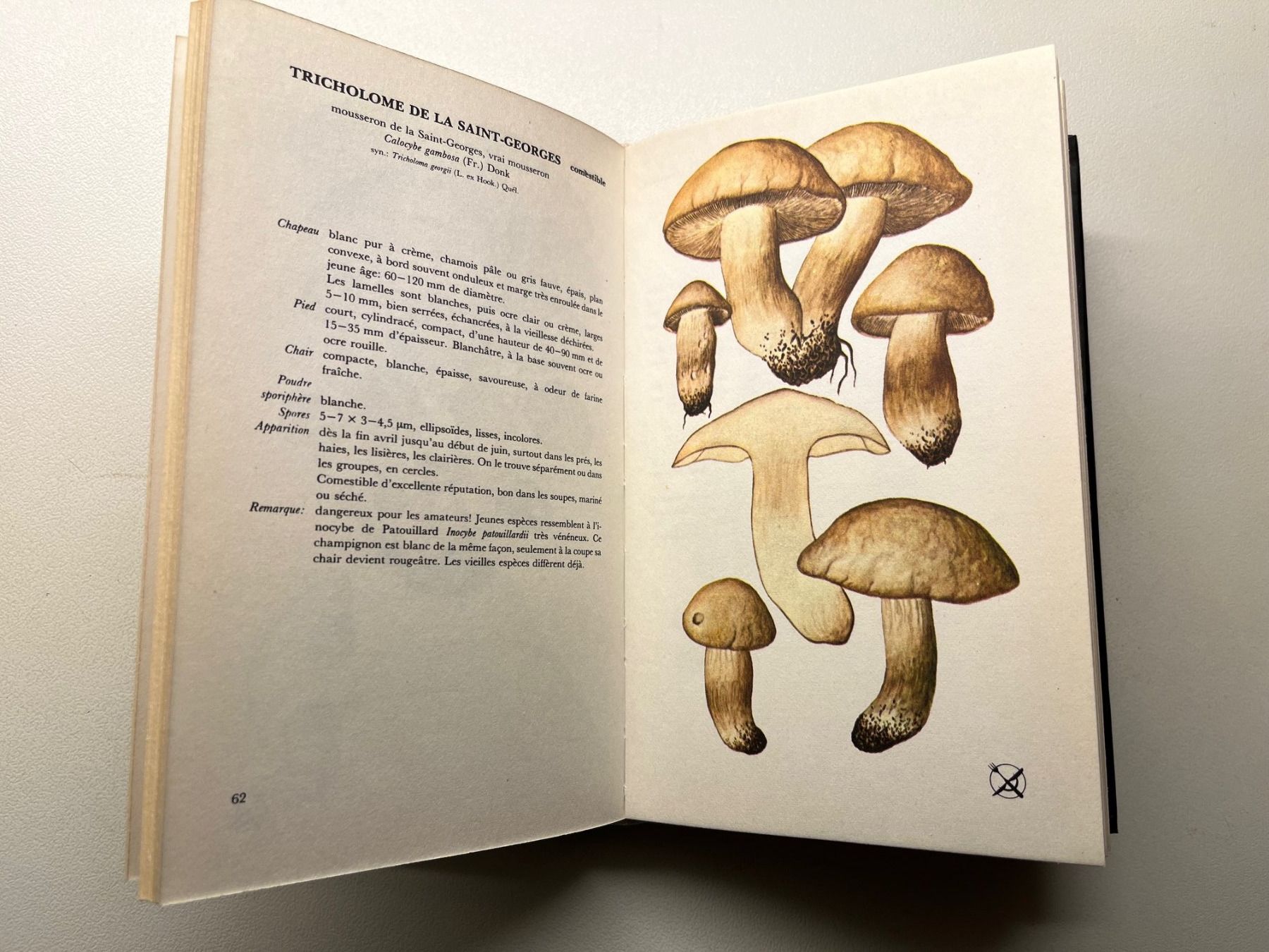 Libri: Les Champignon von Aurel Dermek – Usato da Laufen venduto da Nuria44 4