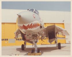 Pressefoto F-14A Tomcat VF-111 US Navy auf Kodak Fotopapier