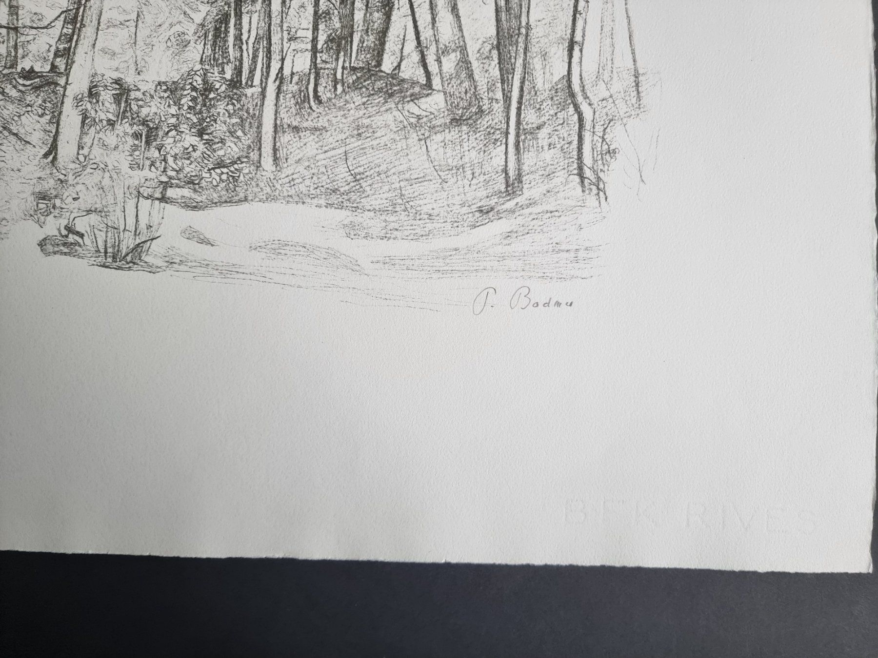 Grafica & Litografie: PAUL BODMER LITHOGRAPHIE SIGNIERT NUMMERIERT – Usato da Gersau venduto da kunst-online 2