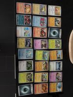 Pokemon Kartensammlung (Standard & Holo)