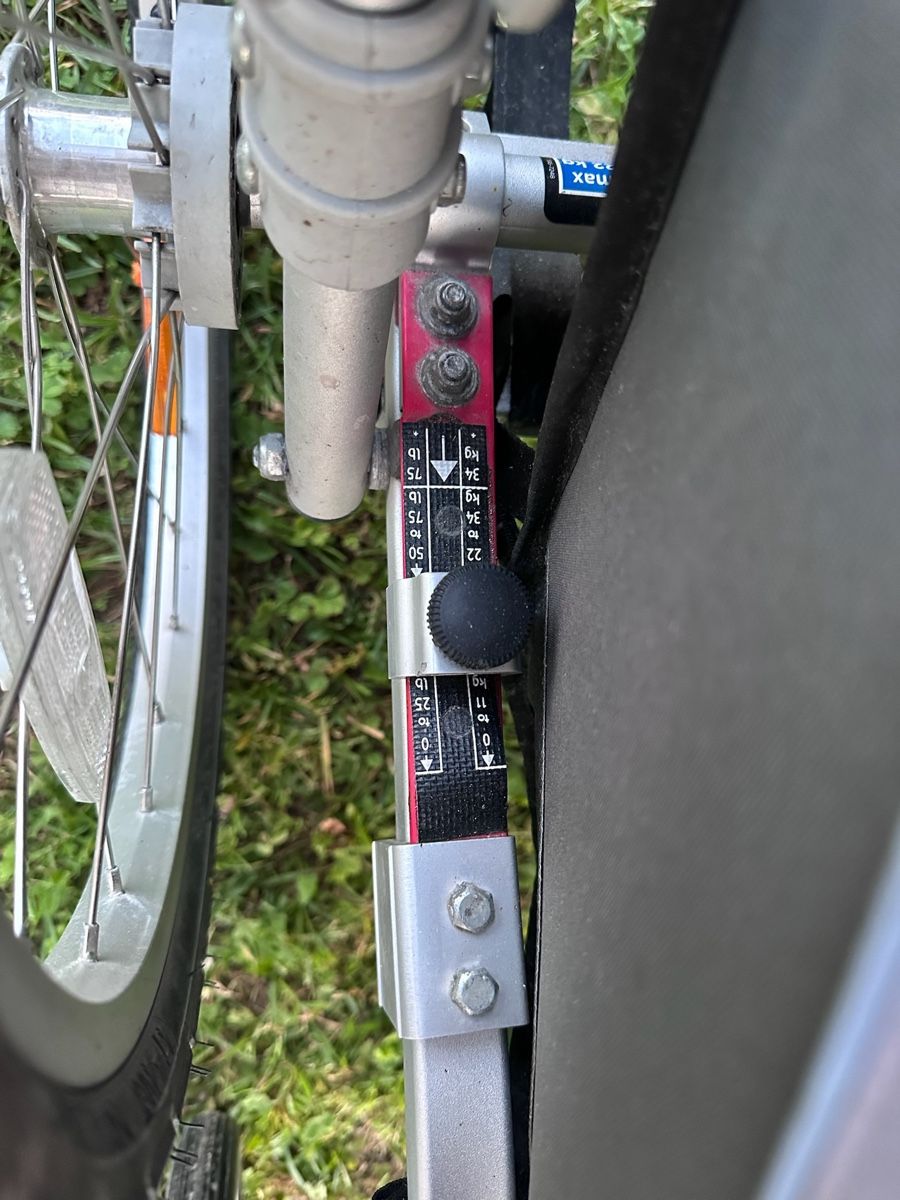 Thule Rimorchi: Thule Chariot Cougar 2 Kinder – Usato da Langnau am Albis venduto da mag_g2pg 5