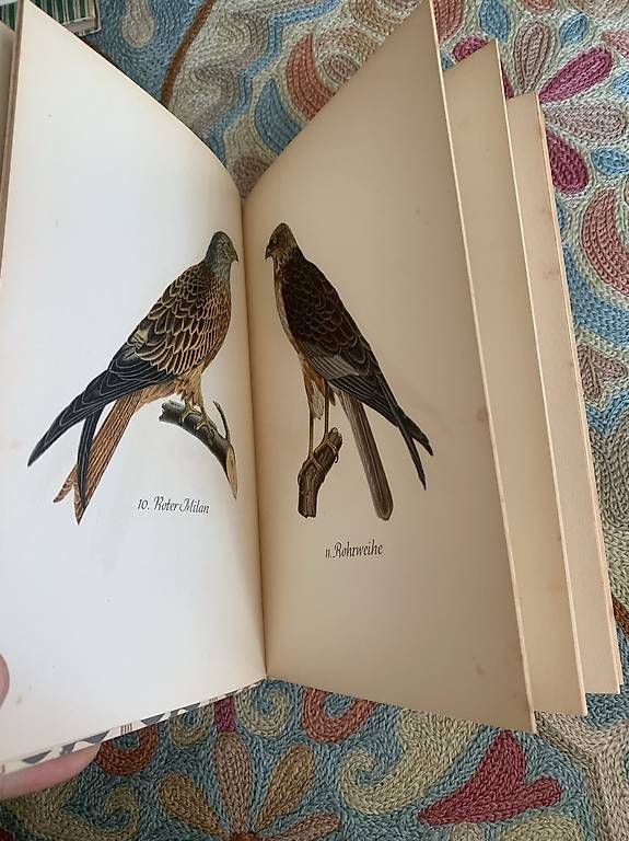 Bücher: Insel Bücherei Büchli – Gebraucht aus Eschenbach von cla_d96r 4