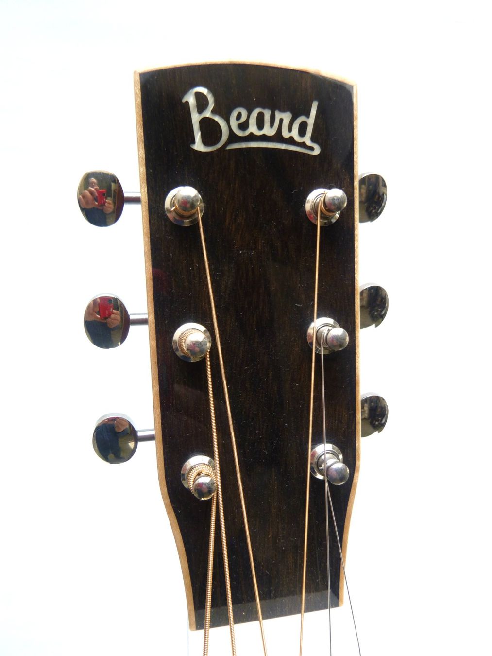 Musikinstrumente: BEARD E-Odyssey – Neu und originalverpackt aus Schaffhausen von Saitensprung_SH 4