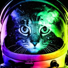 Profile image of 0x0000