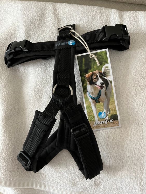 Back On Track Netzmantel Für Hunde – Leicht, Atmungsaktiv, Mit Welltex-Fütterung, Schwarz, 21 Cm