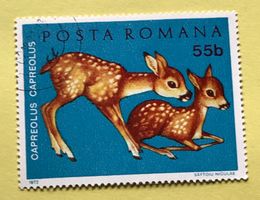 Briefmarken aus Rumänien gestempelt  Siehe Original Fotos. 