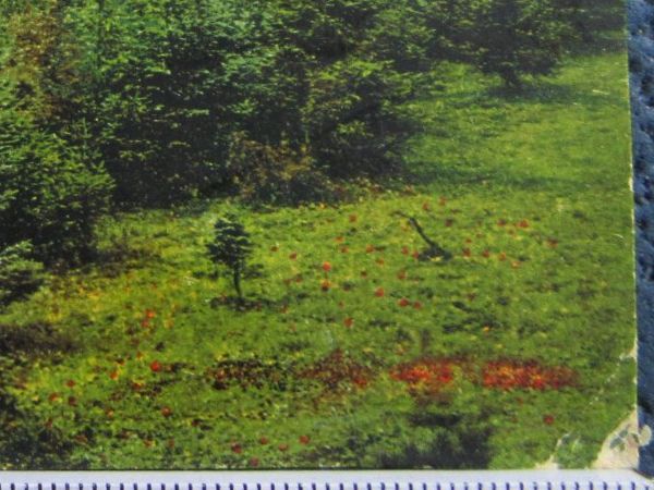 Cartoline postali: RIGI-SCHEIDEGG  HOTEL KURHAUS LU AK BUG – Usato da Ettingen venduto da Hausi4711 1