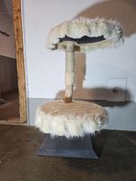 TOP !!! Swisspet Living Kratzbaum !!! TOP NP 599.00 CHF