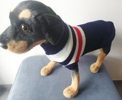 Warmer Hunde Strickpullover blau mit Streifen 45 cm lang