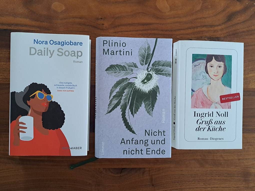 Libri: Bücherset neu: 3 Romane / neuwertig!! – Nuovo (secondo la descrizione) da Romanshorn venduto da Bio_24