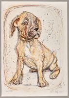 Boxerbaby, Lithografie von Fritz Hug, handsigniert