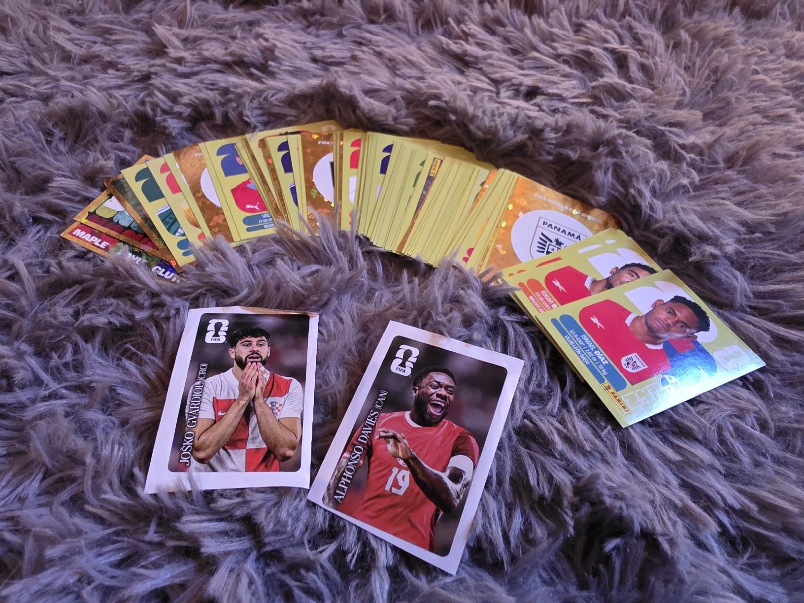 Panini Carte collezionabili: Panini - FIFA WorldCup 2026 – Usato da Herisau venduto da TyrantTK