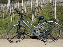 Crossbike für Frühlingstouren - braucht etwas Zuwendung