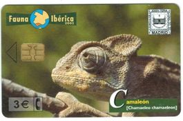 Privat-Telefonkarte Spanien Chamäleon