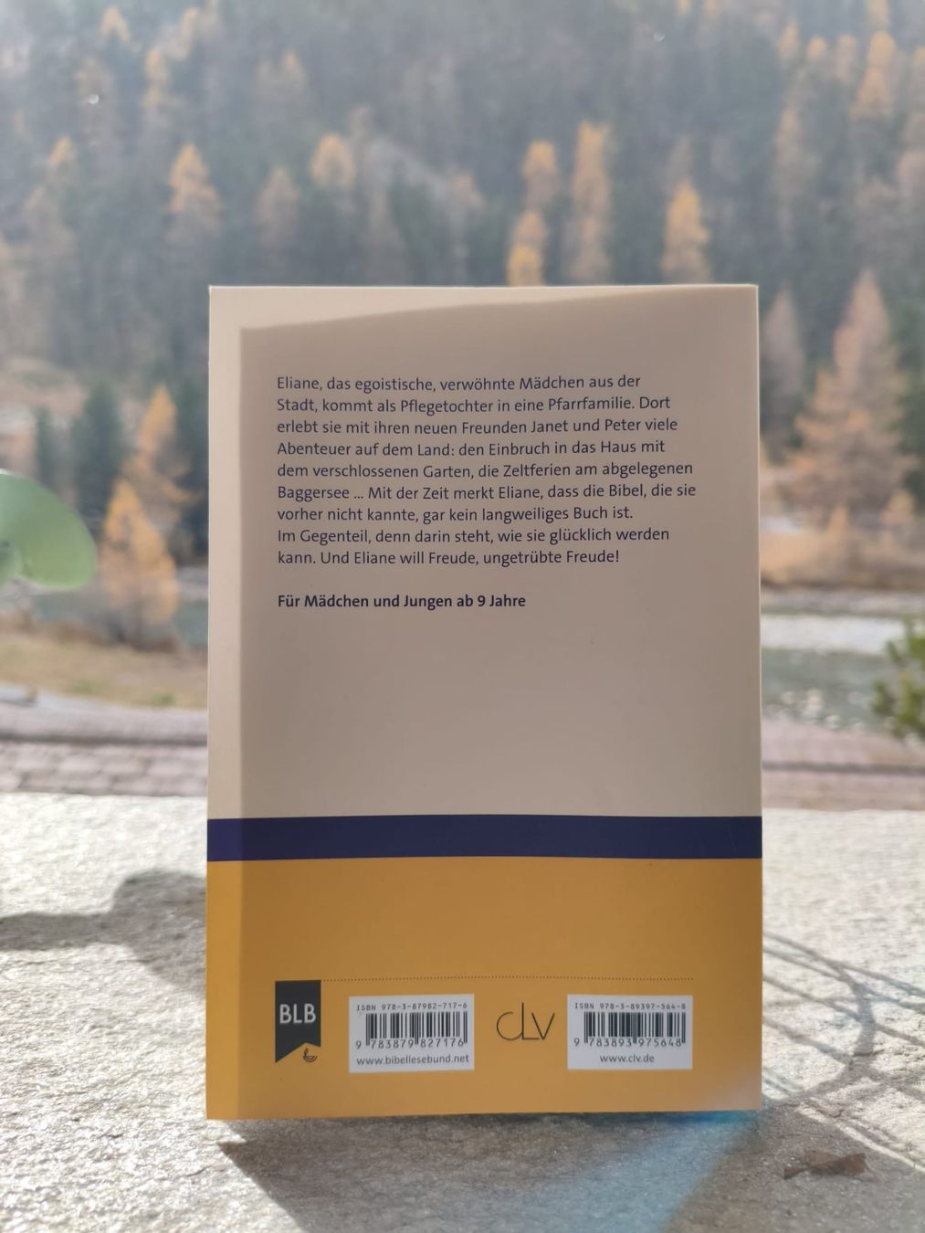 Libri: Buch Der Veschlossen garten – Usato da Pontresina venduto da m_k_tn5p 1