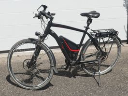 Flyer Vollblut 250 SE - Occasion