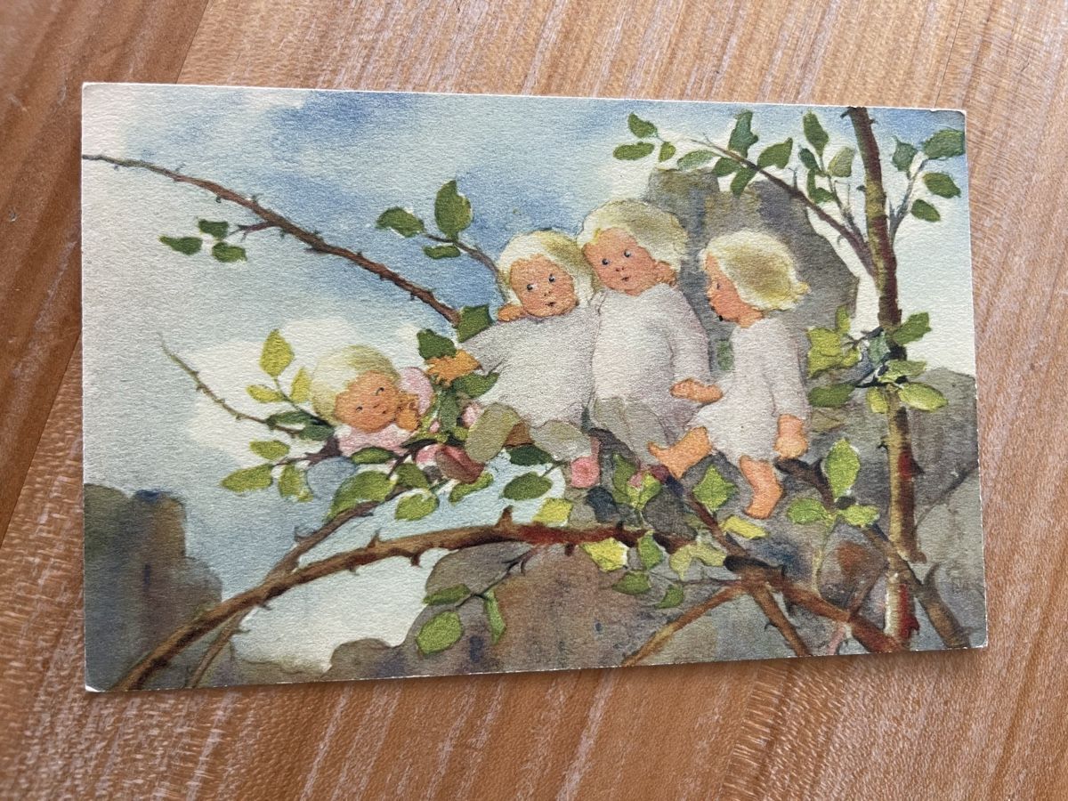 Cartoline postali: Mili Weber – Usato da Widen venduto da Lupina2000