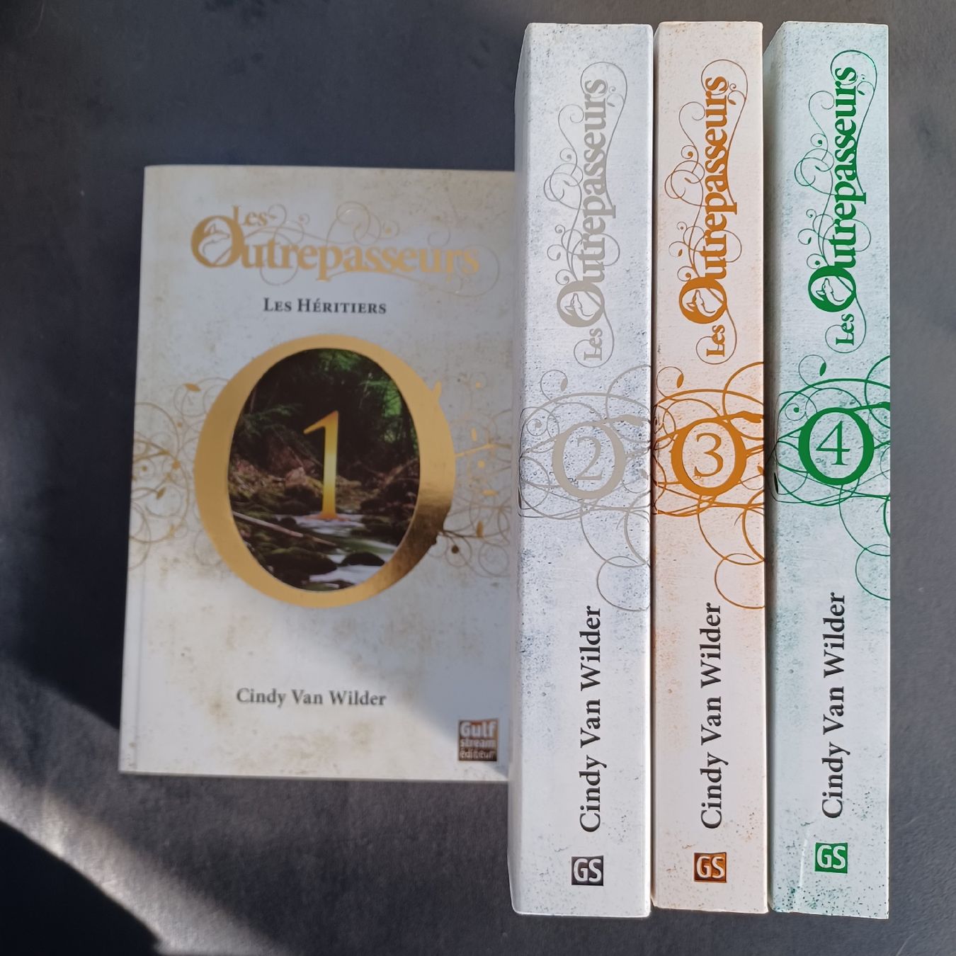 Libri: Les Outrepasseurs - Cindy Van Wilder – Nuovo (secondo la descrizione) da Ardon venduto da lau_f96t 1