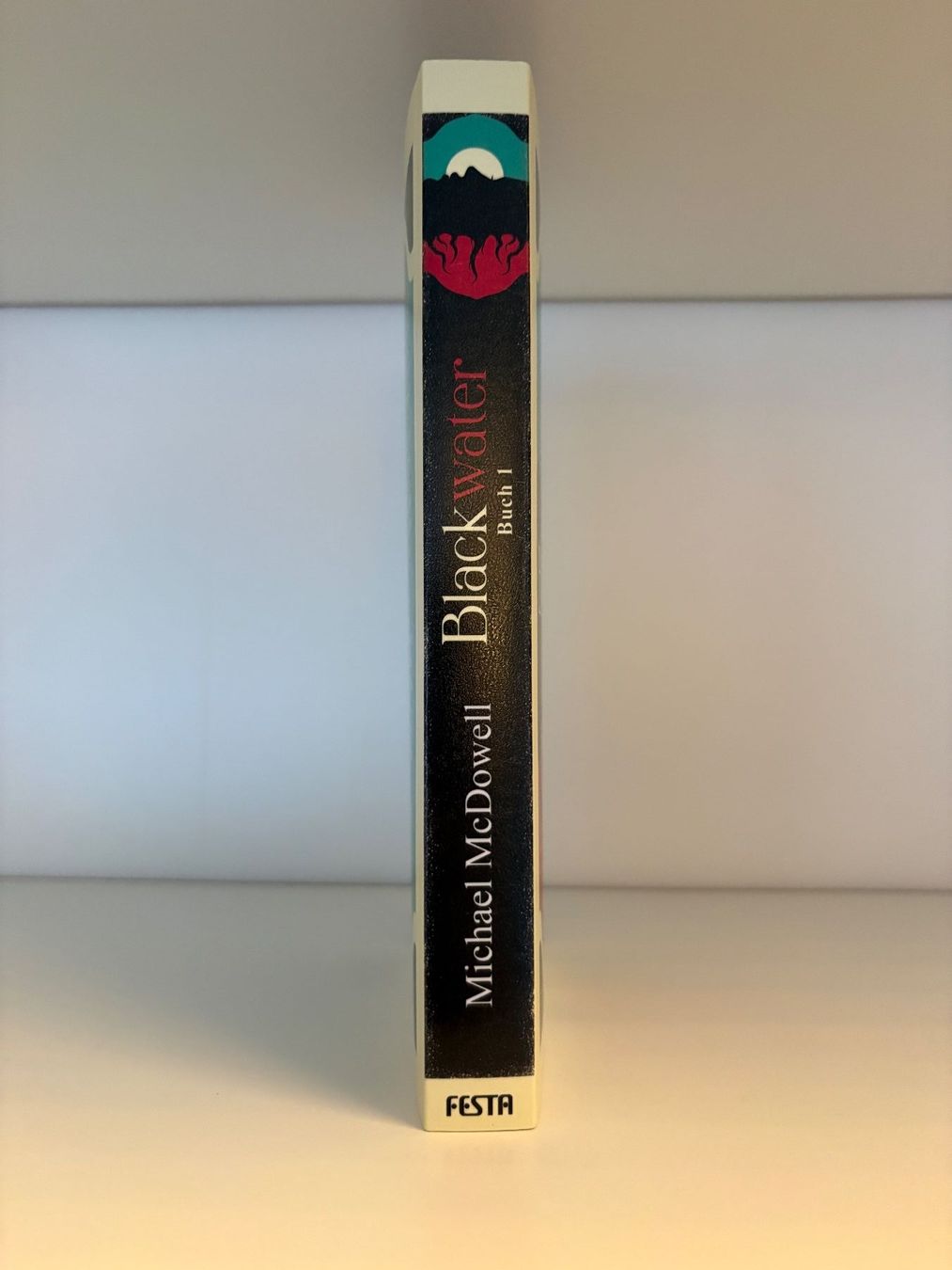 Libri: Blackwater - Michael McDowell – Usato da Steffisburg venduto da elsa.catalina 2