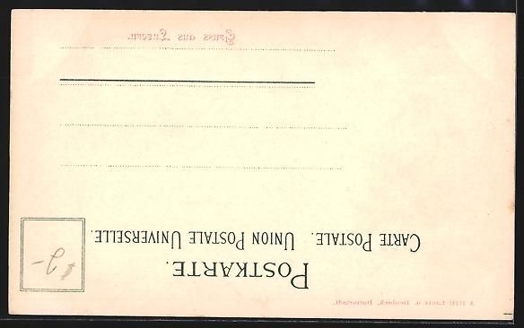 Cartoline postali: Litho Luzern, Panorama mit Hotel, Blüte – Usato da Berlin venduto da bartko-reher 1