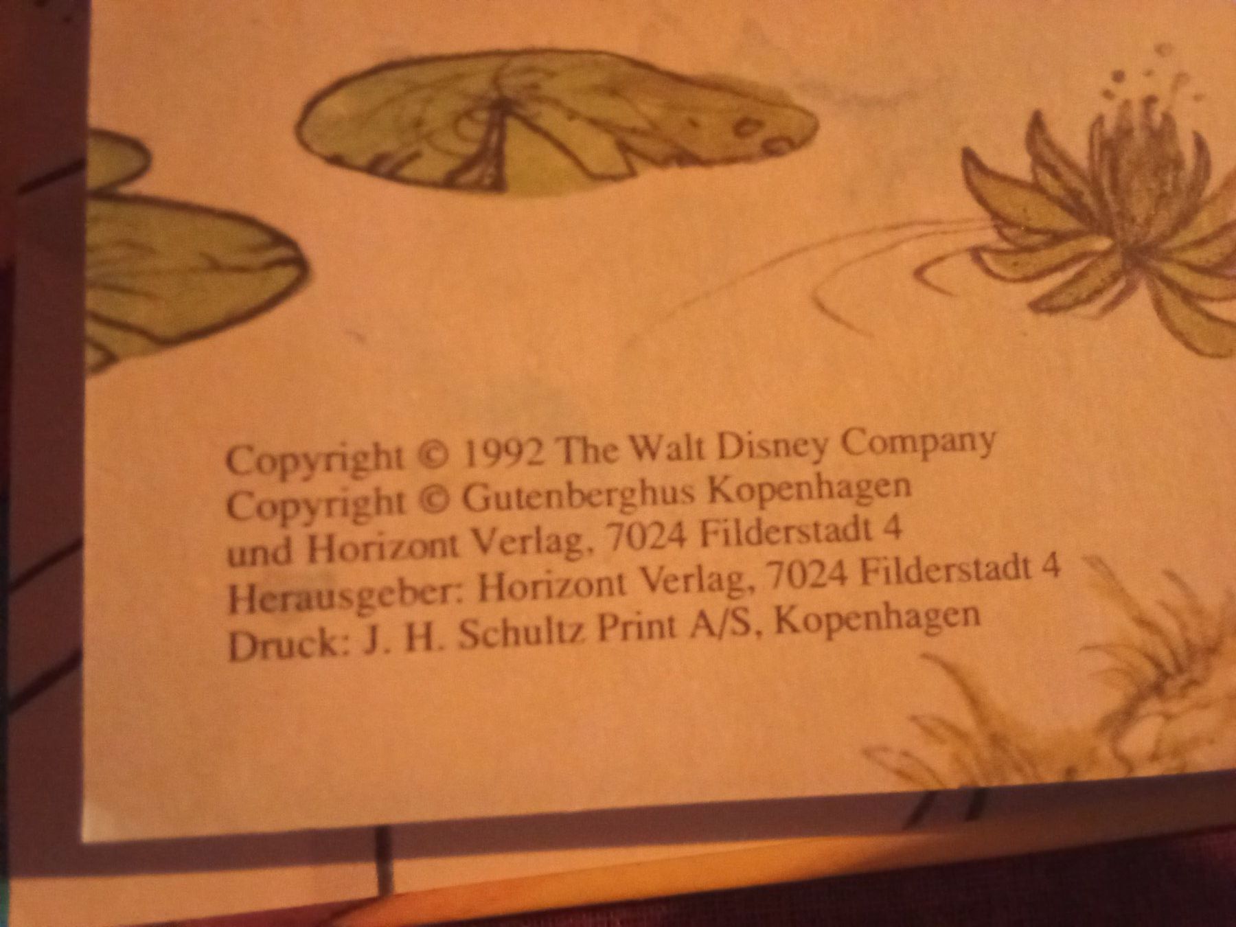 Libri: Aristocats Disney Buch – Usato da Remetschwil venduto da Privatflohmi 1