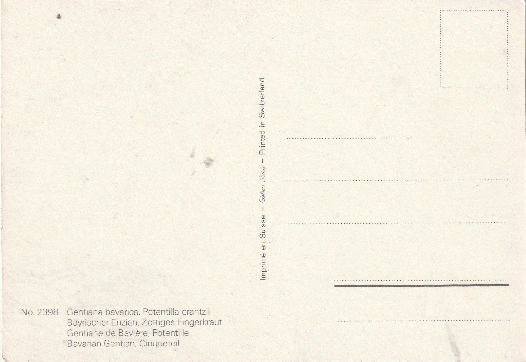 Cartoline postali: Blumenkarte – Usato da Lumbrein venduto da made02 1