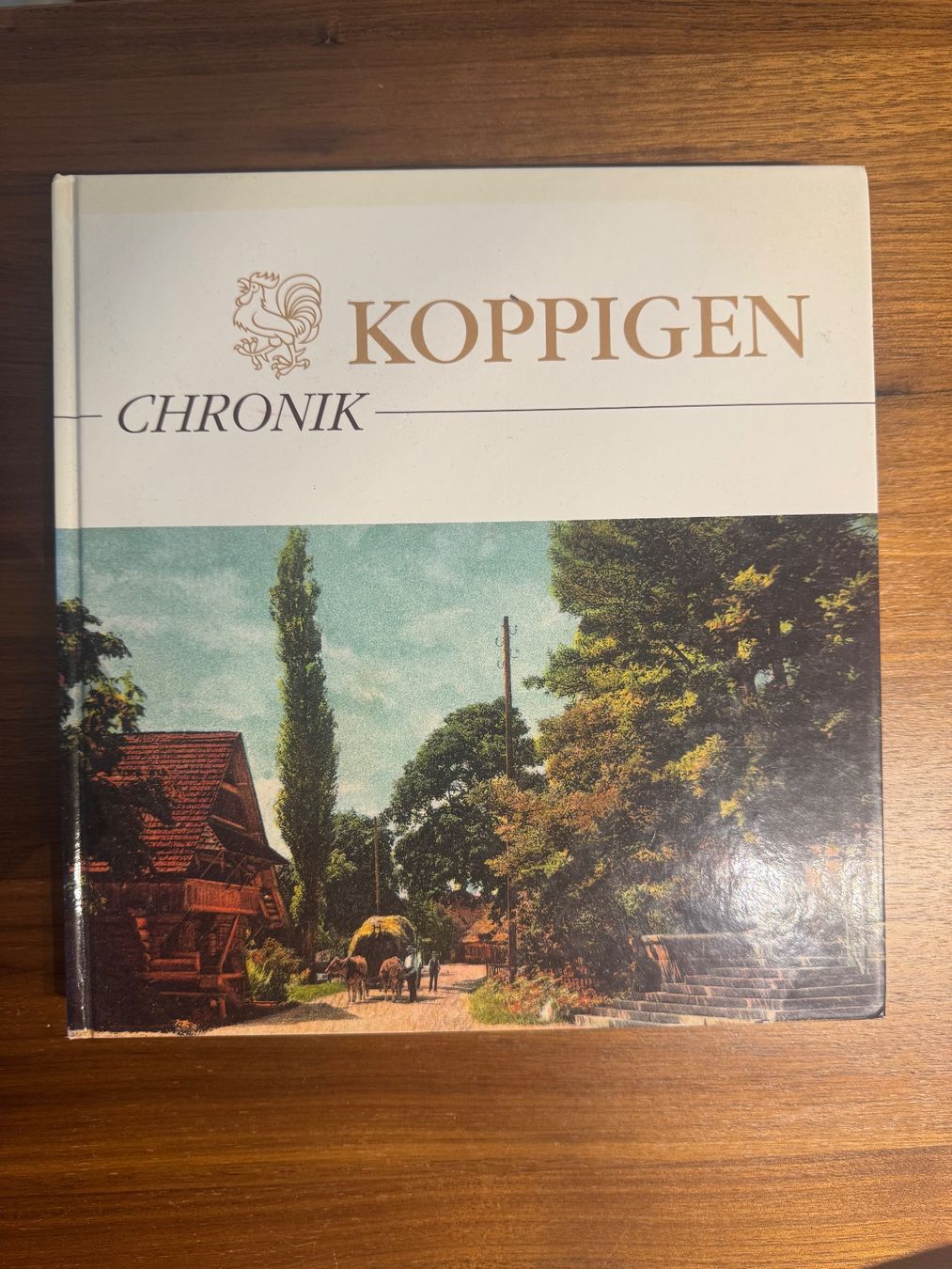 Libri: Koppigen Chronik – Usato da Bern venduto da Boox